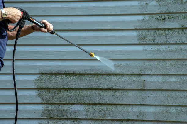 Best House Pressure Washing  in Lakeside, MT